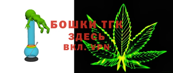 спайс Арсеньев