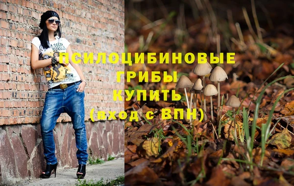 ПСИЛОЦИБИНОВЫЕ ГРИБЫ Армянск
