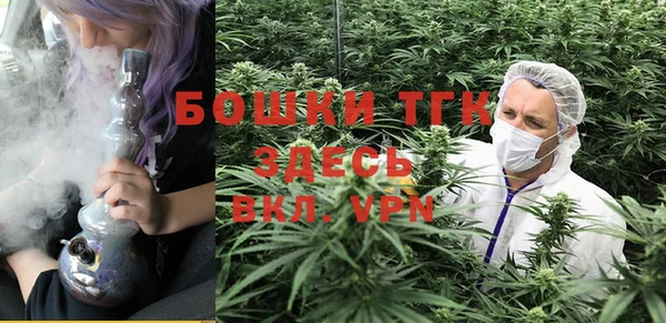 ПСИЛОЦИБИНОВЫЕ ГРИБЫ Армянск