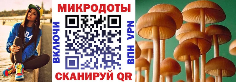 Галлюциногенные грибы мухоморы Правдинск