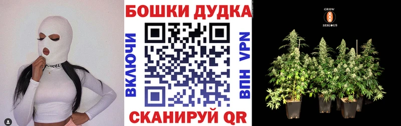 Шишки марихуана гибрид  Правдинск 
